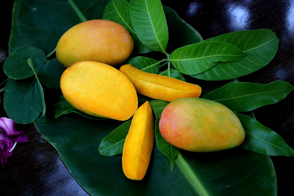 vip mango