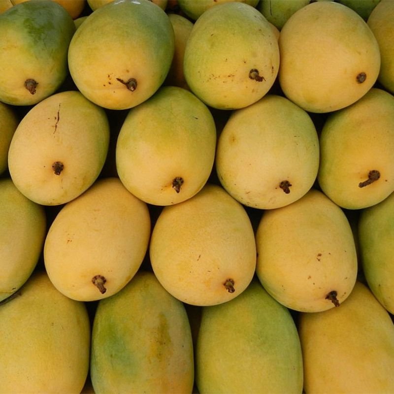 Langera Mango